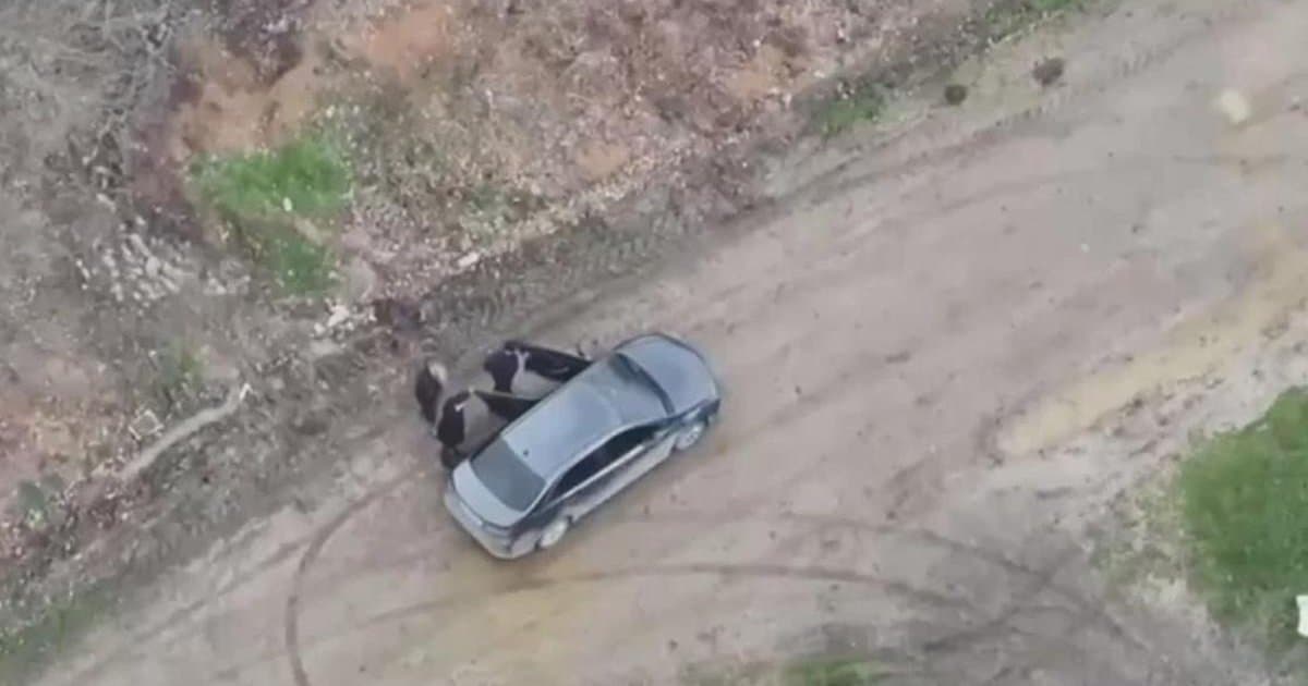 Arnavutköy'de Çiftlik Sahibi ile Çalışan Arasında Kavgaya Dönüşen Tartışma