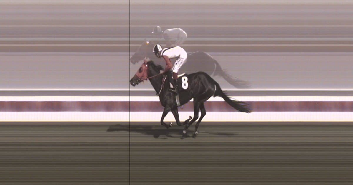 Mersin'de kavurma skandalı: At eti çıktı