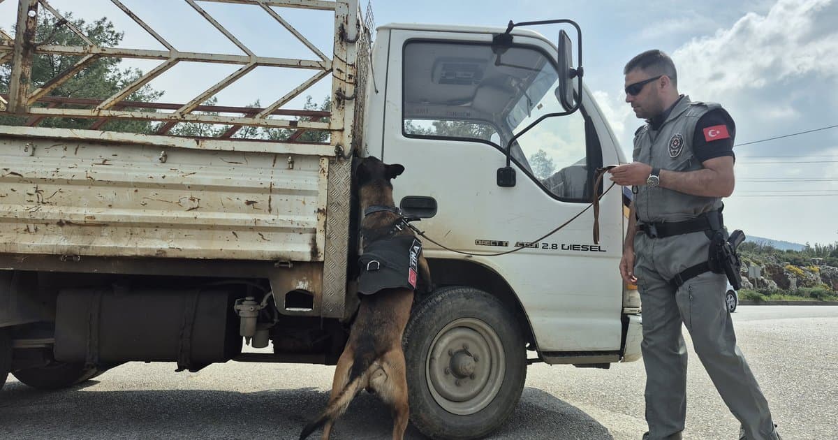 Bodrum'a bayram öncesi 25 bin araç girişi