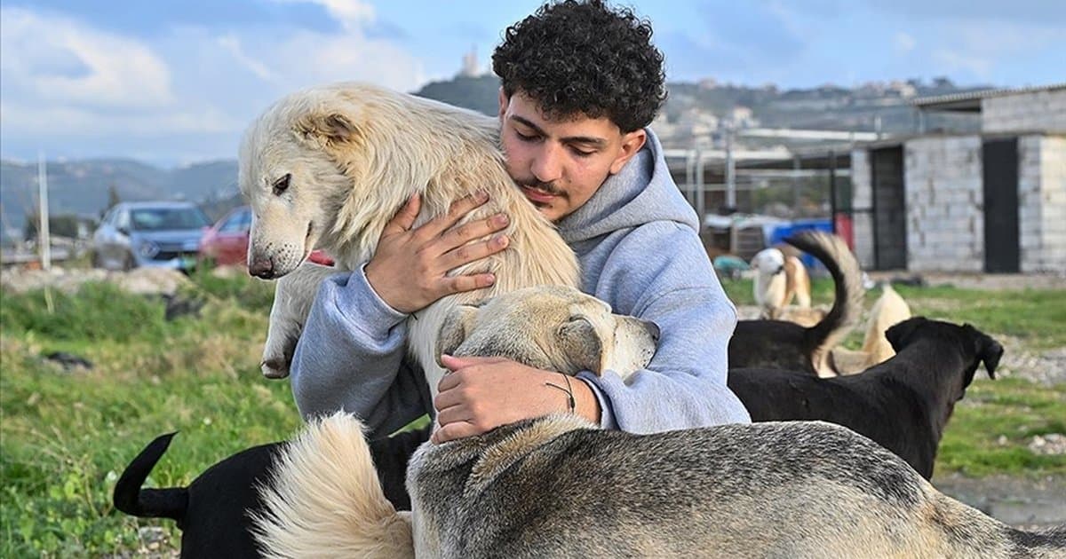 Lübnanlı genç, İsrail saldırılarında kaderine terk edilmiş hayvanları kurtarıyor