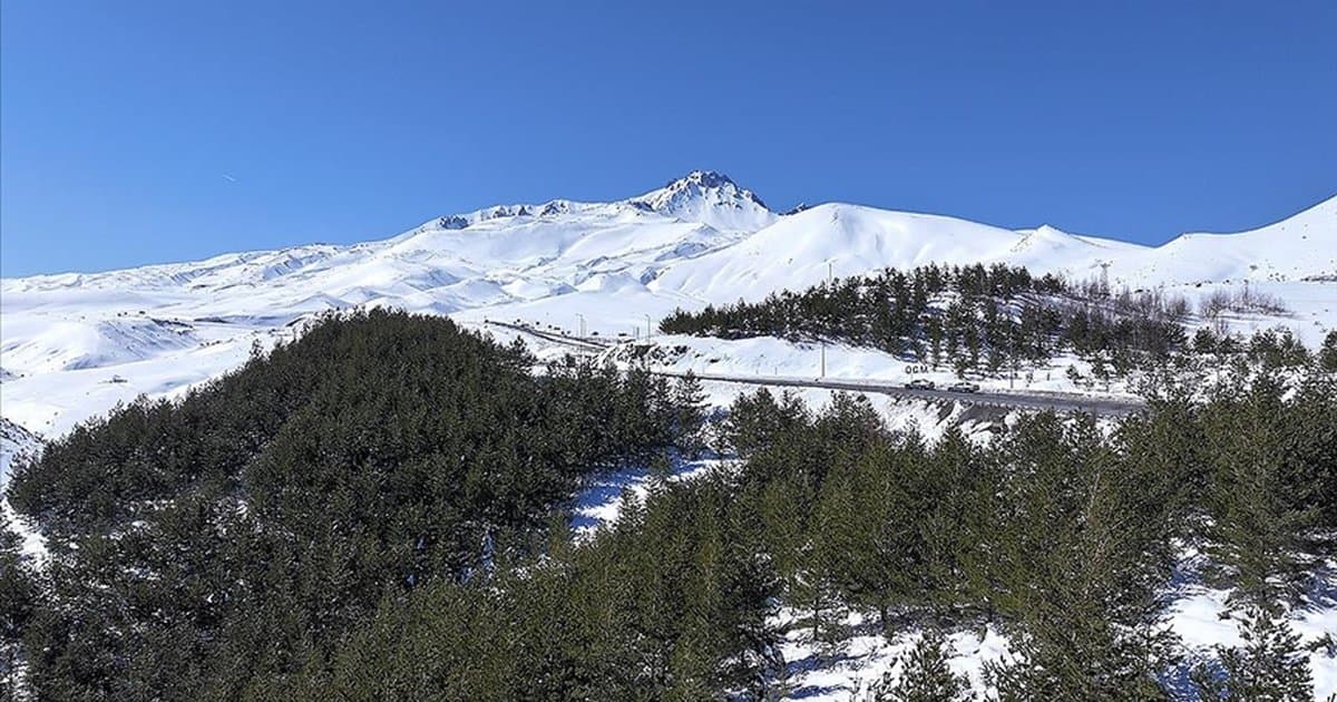 Erciyes Dağı'na 7 milyon fidan dikildi