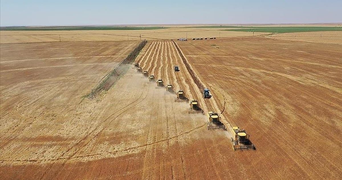 Tarım Bakanlığı'ndan Toprak Koruma Planı