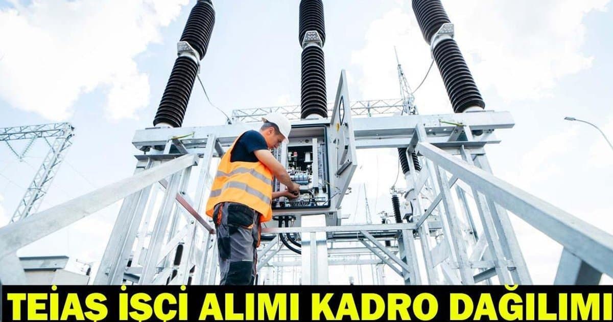 TEİAŞ 402 işçi alımı başvuruları ve kadro dağılımı
