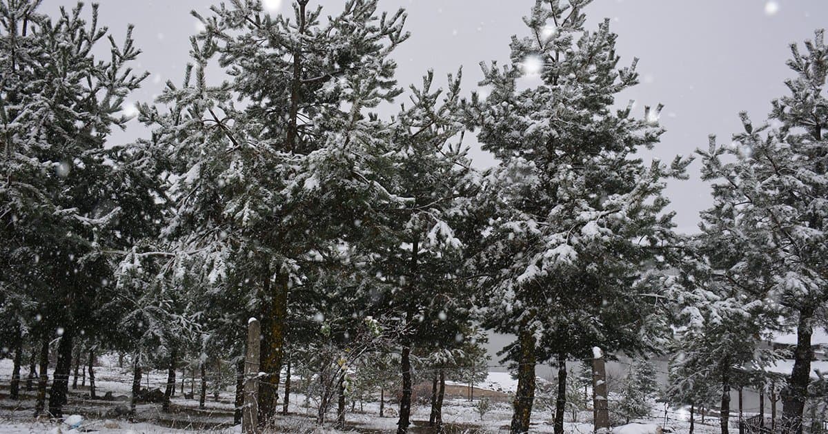 Nisan ayında kar geri geldi