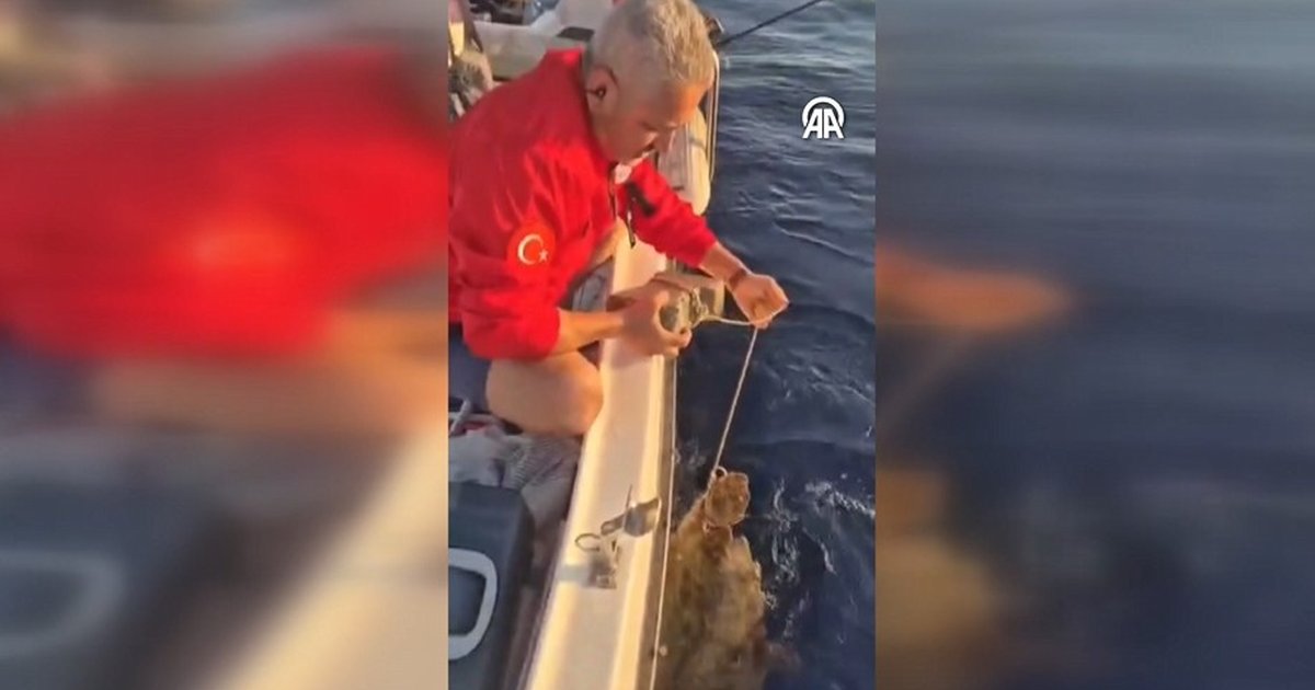 Ayağına taş bağlanan caretta caretta kurtarıldı