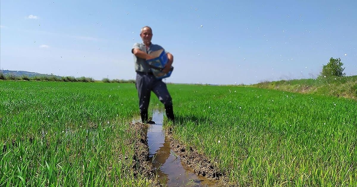 Türkiye'de Gübre Stokları Yeterli Seviyede