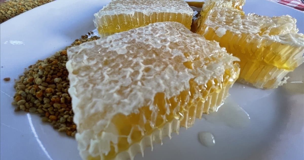 Yenice ıhlamur balı AB'den coğrafi tescil aldı