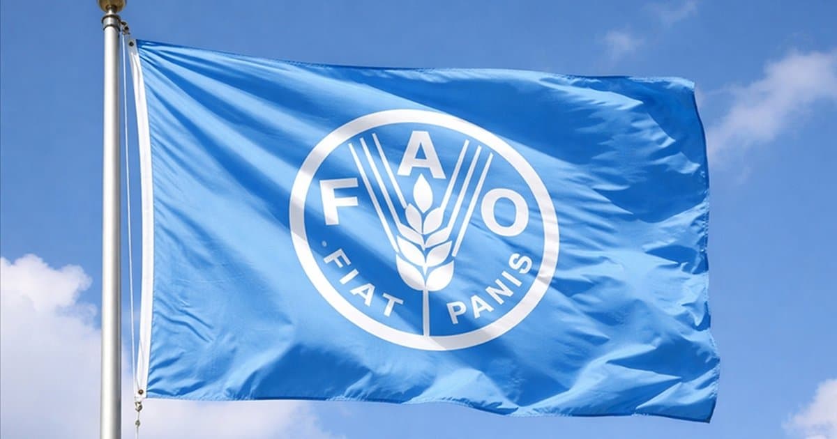 BM Gıda ve Tarım Örgütü: İran'daki çatışmaların etkisi 2-3 ay sürebilir