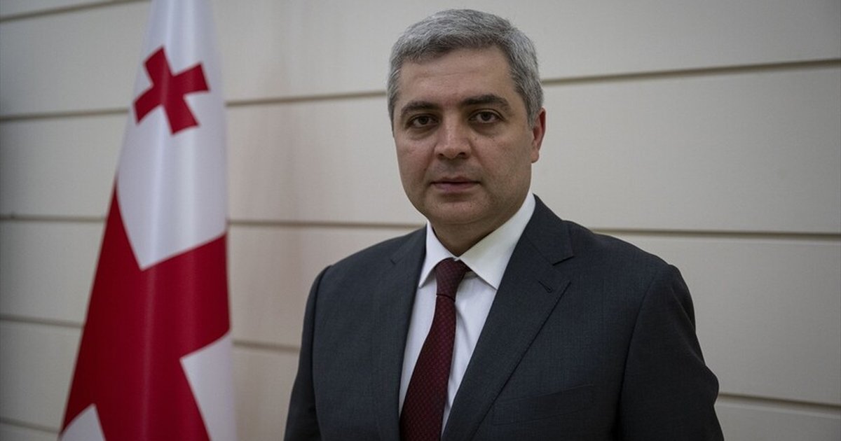 Gürcistan ve Türkiye Barış İçin İşbirliği Yapıyor