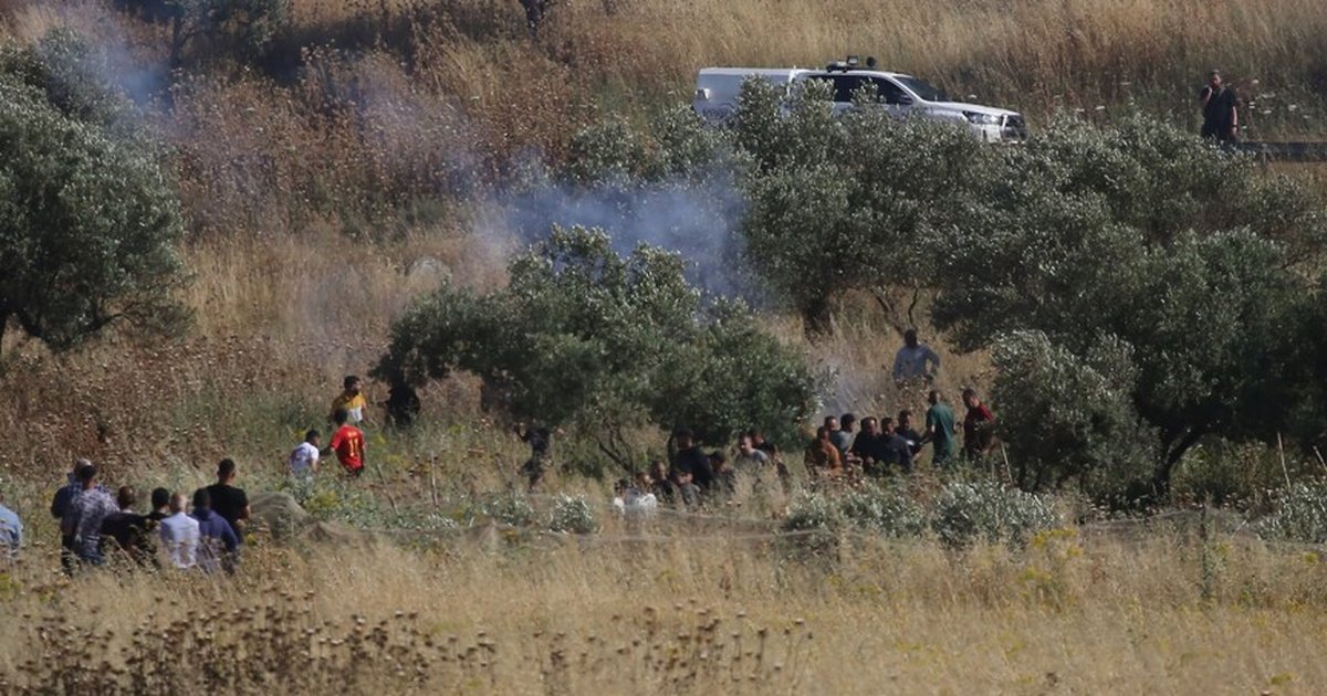 İsrail Batı Şeria'da 300 dönümlük araziyi gasbetti
