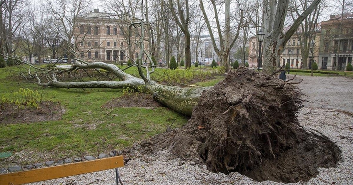 Zagreb'de şiddetli fırtına: Okullar tatil edildi