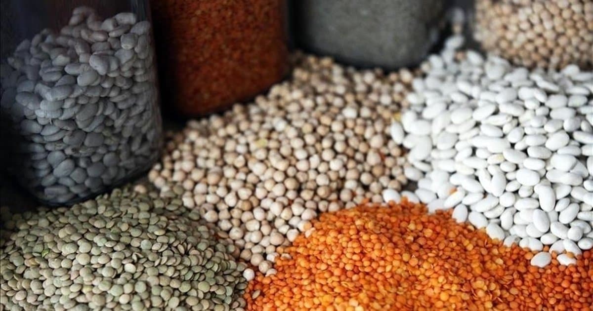 Güneydoğu'dan 552,8 milyon dolarlık hububat ihracatı