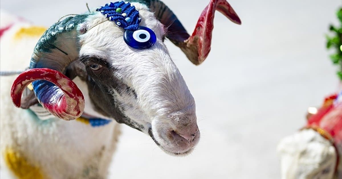 2026 Kurban Bayramı ne zaman? Bayram tatili 9 gün mü olacak?