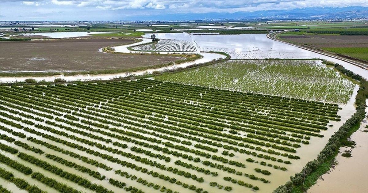 Mersin'de sağanak sonrası tarım arazileri su altında kaldı