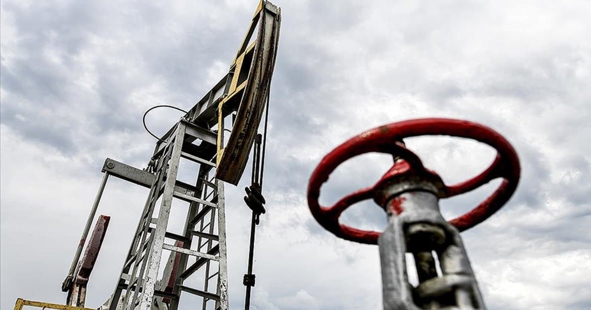 Rusya enerji kaynaklarını komşulara tedarik edecek