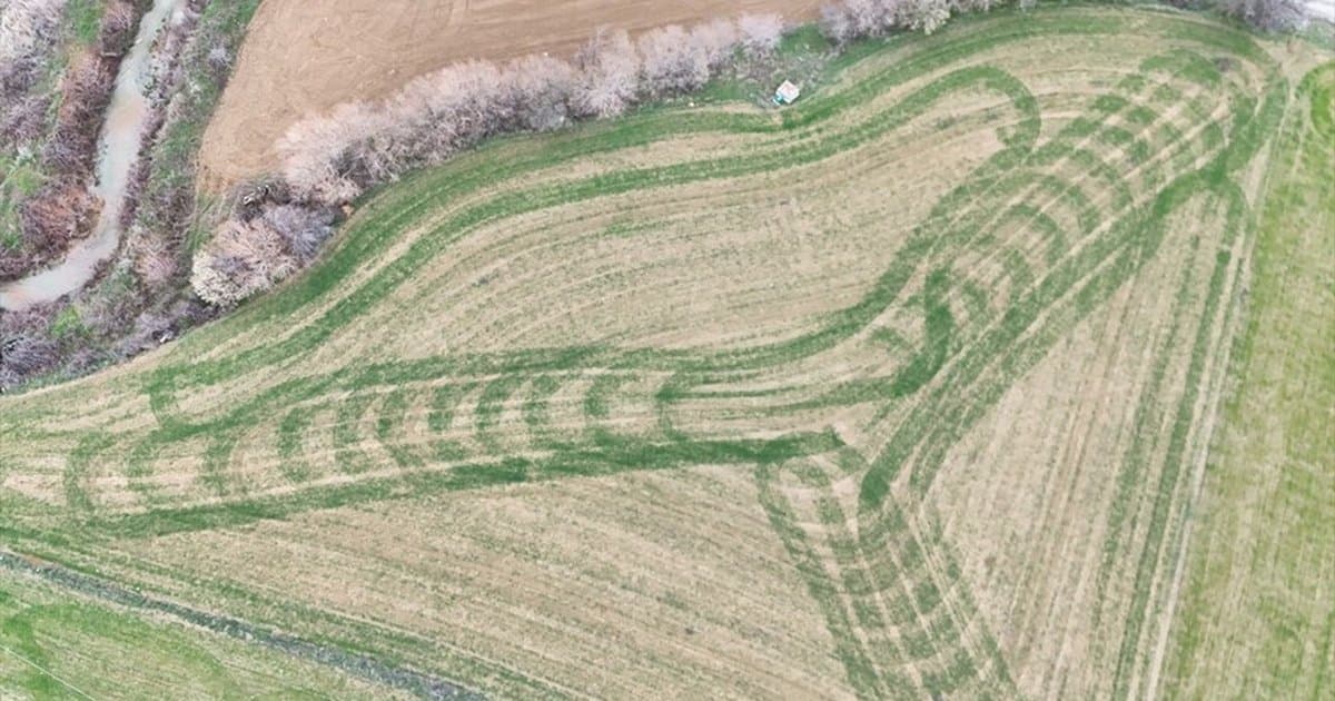 Isparta'da Tarlalarda Oluşan Geometrik Desenler