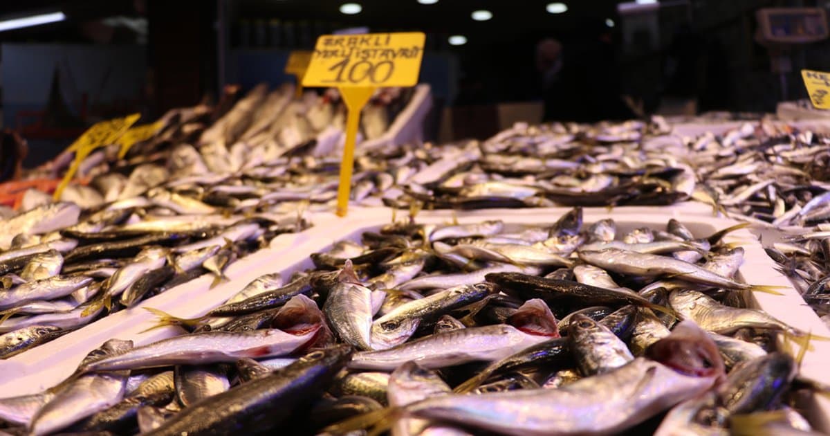 Trabzon'da En Çok Satan Balıklar: Hamsi ve İstavrit