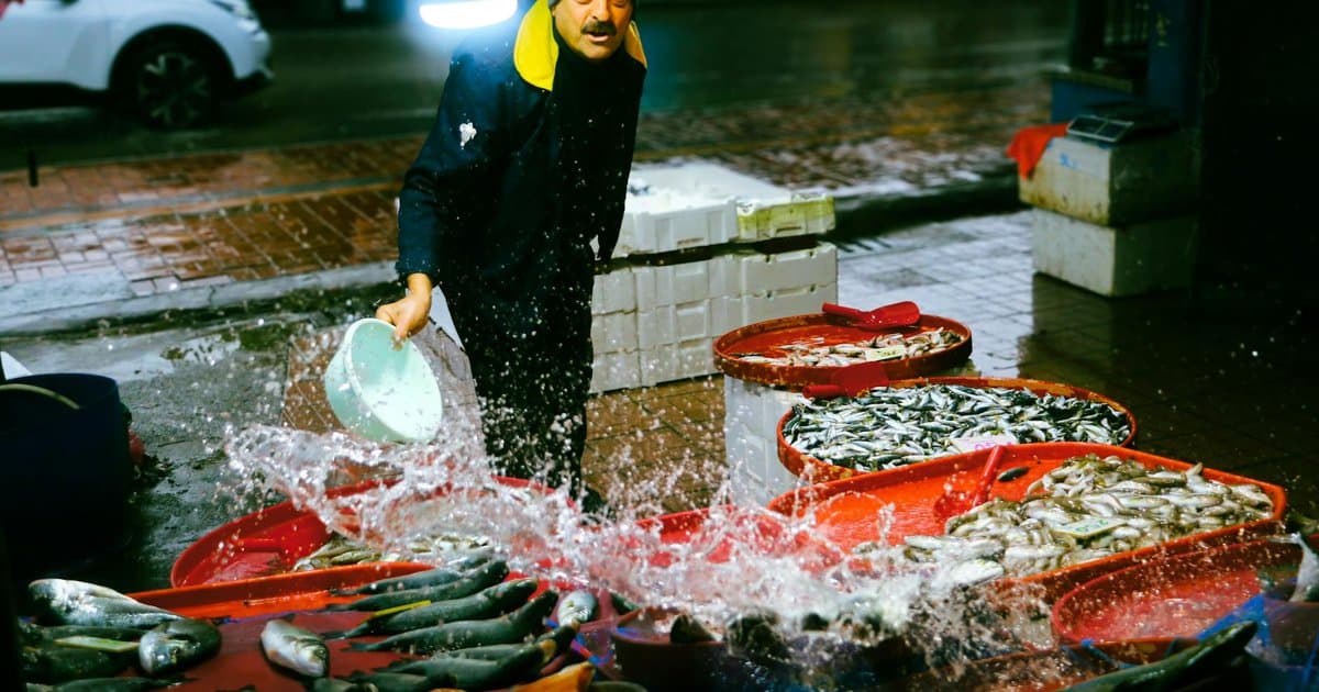 Antalya'da esnaf kooperatifine operasyon: 12 tutuklama