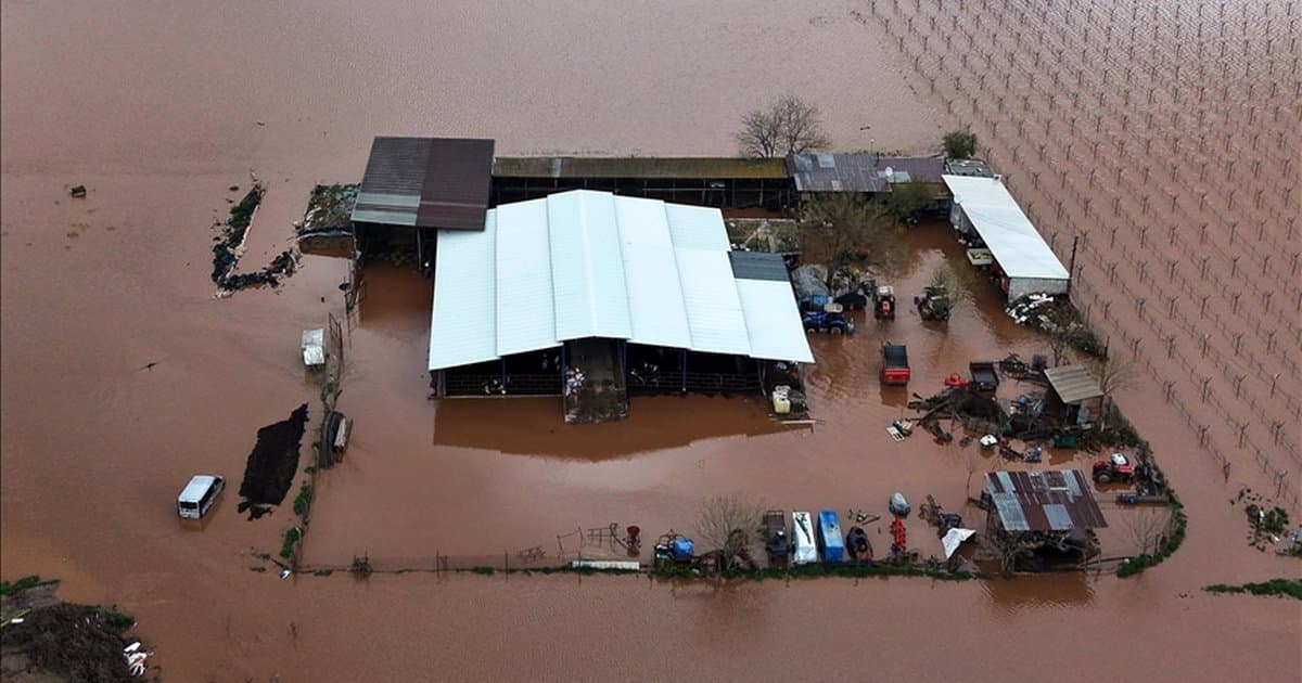 Manisa'da Gediz Nehri taştı, tarım arazileri su altında kaldı