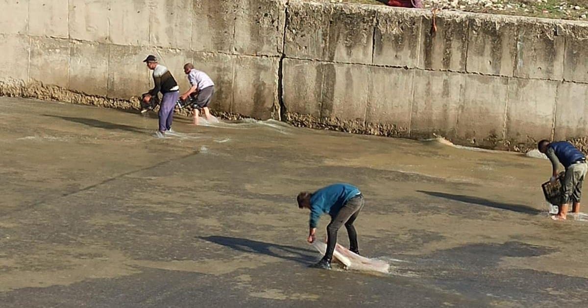 Afyonkarahisar'da Baraj Taşması Sonrası Balık Toplama Yarışı