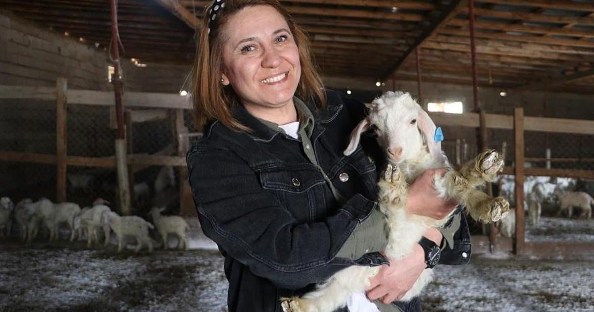 Ankara'da kadın girişimci keçi yetiştiriciliğinde başarı kazandı