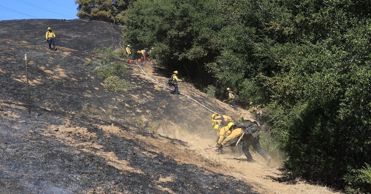 California'da yangın: 14 bin 600 dönüm kül oldu