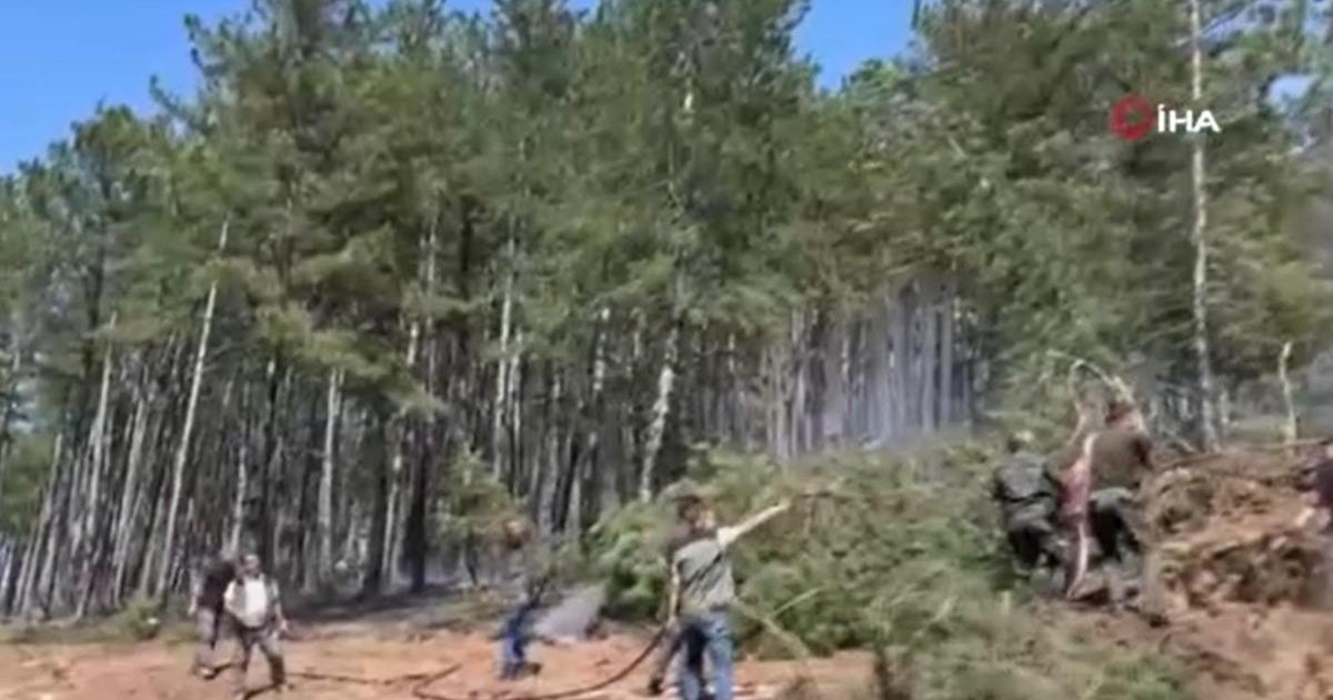 Kastamonu'da orman yangınına müdahale