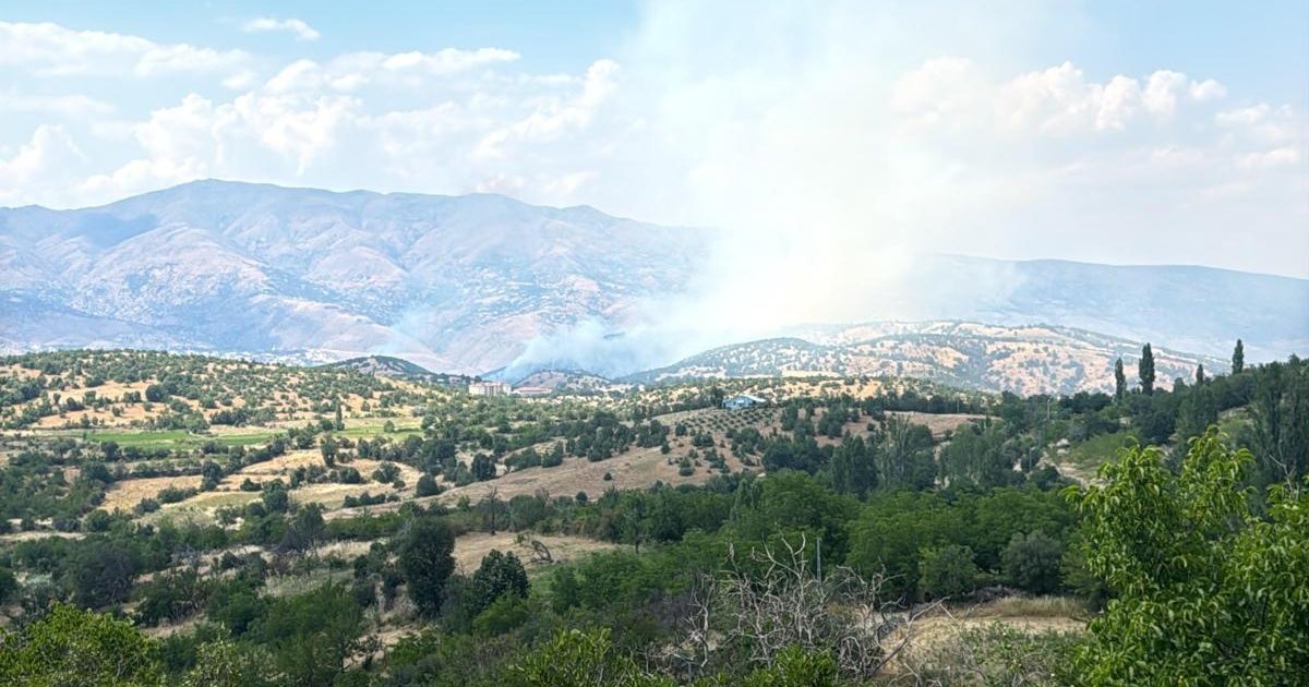Malatya Pütürge'de orman yangını