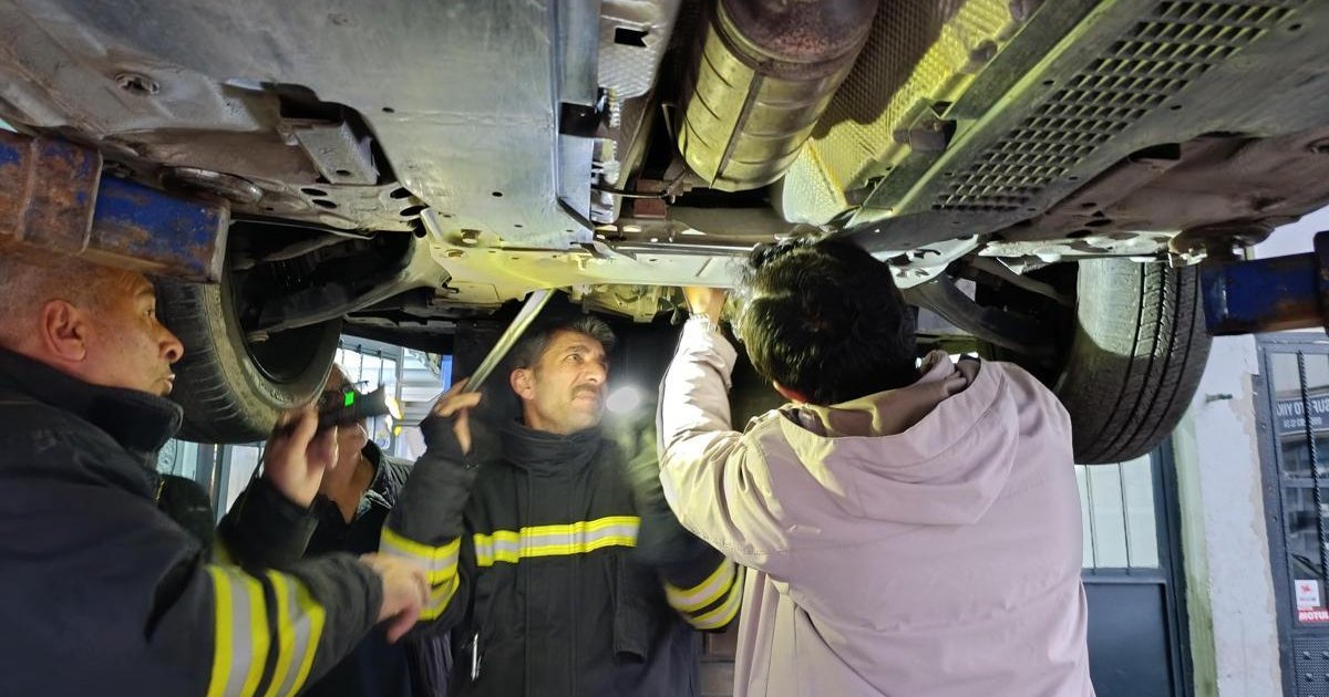 Erzincan'da otomobilin motoruna sıkışan kedi kurtarıldı