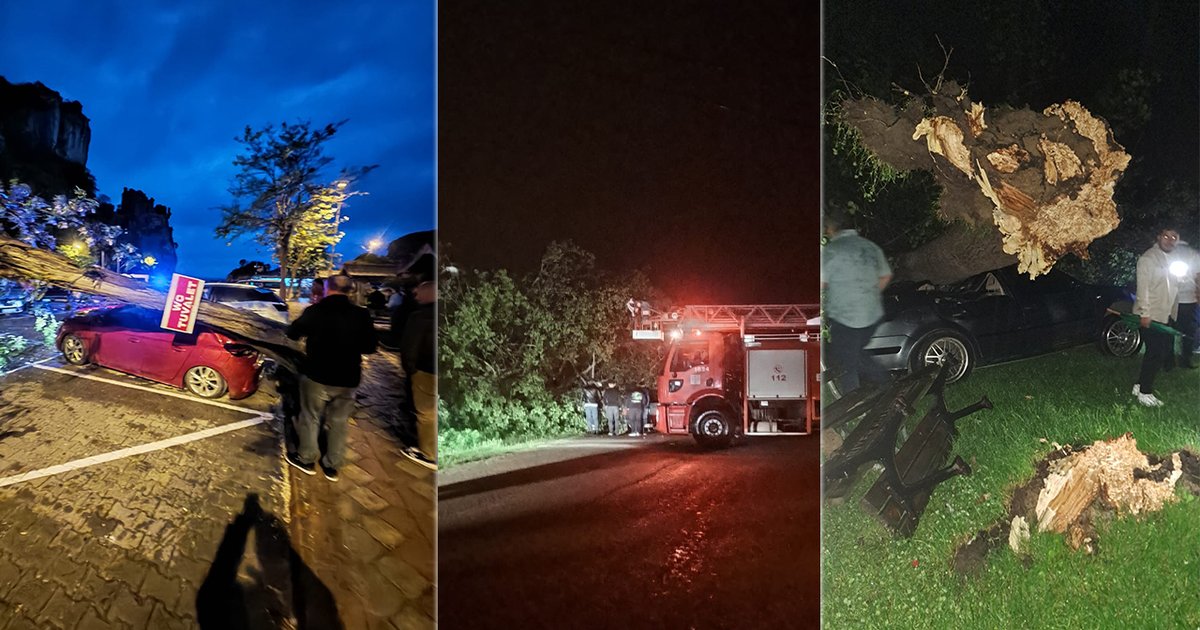 Bartın'da fırtına ağaçları devirdi, araçlara zarar verdi