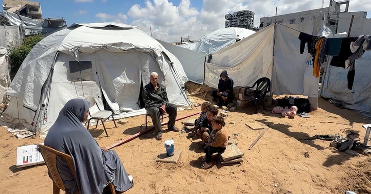 Gazze'de fare ısırıkları sağlık krizi yaratıyor