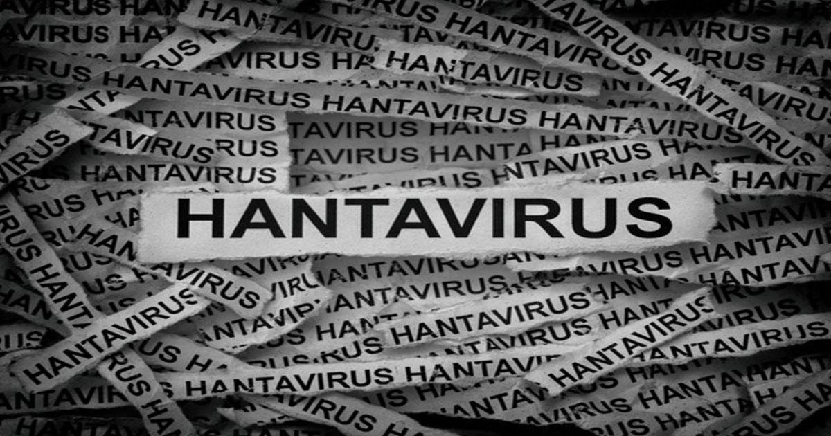 Hantavirüs Nedir, Belirtileri Neler?