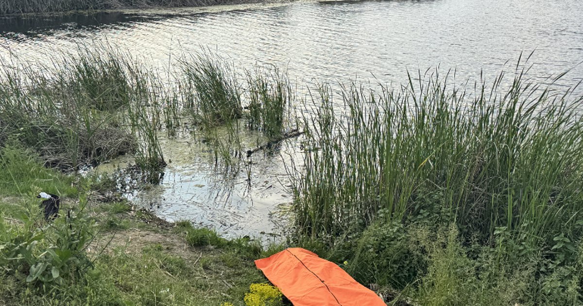Sakarya'da gölette ceset bulundu: Kayıp Rukiye G.'ye ait