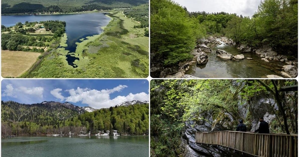 Milli parklarda yeni dönem: Teklif yasalaştı