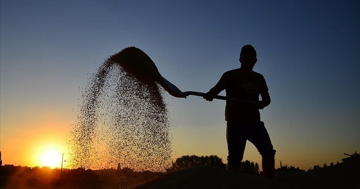 Çiftçilere 10,7 milyar liralık destekleme ödemesi bugün yapılacak