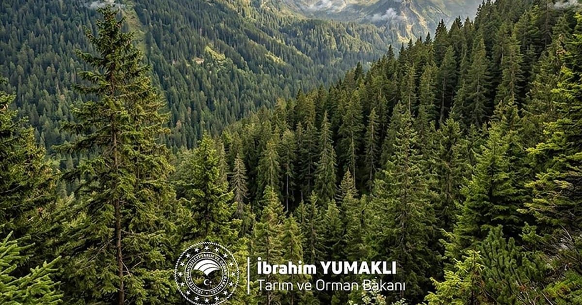 Bakan Yumaklı, Dünya Ormancılık Günü'nü kutladı