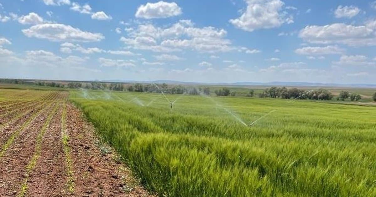 Bakan Yumaklı: Sulama sistemlerine destek artırıldı