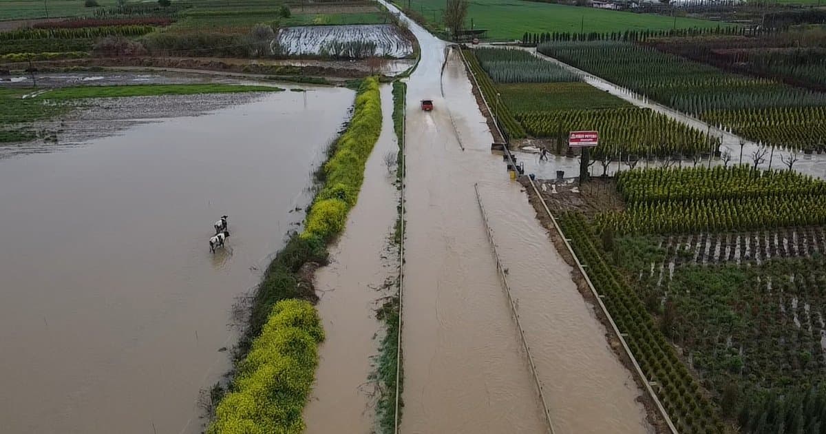 İzmir Ödemiş'te kuvvetli sağanak sonrası su baskınları