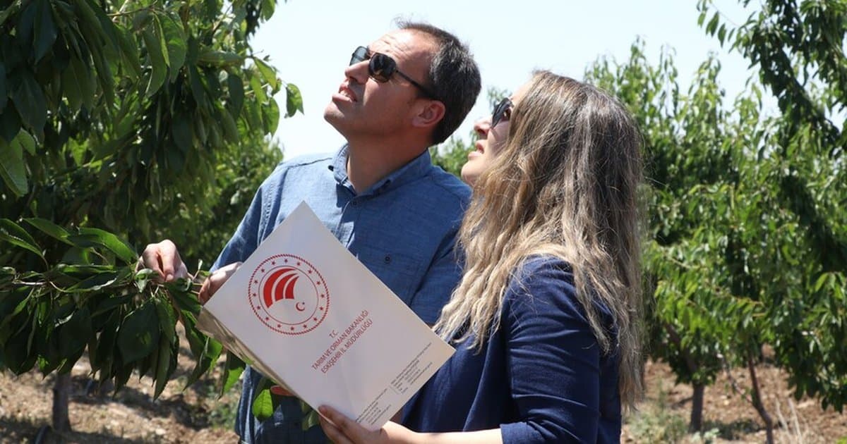 TBMM Zirai Don Olayını Araştırma Komisyonu Raporu