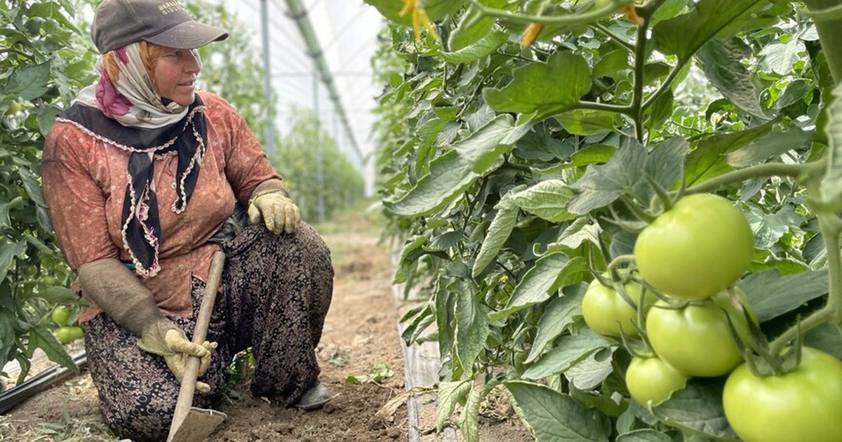 Antalya sebze-meyve üretiminde Türkiye'nin lideri