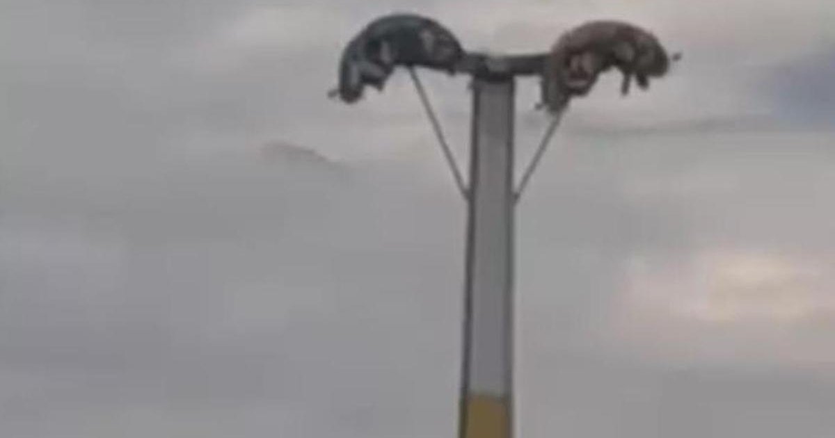 Lunaparkta arıza: Vatandaşlar baş aşağı asılı kaldı