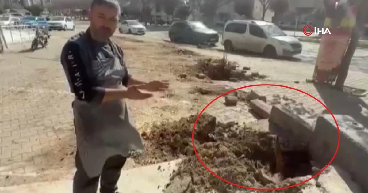 Adana'da fırtına ağaçları kökünden söktü