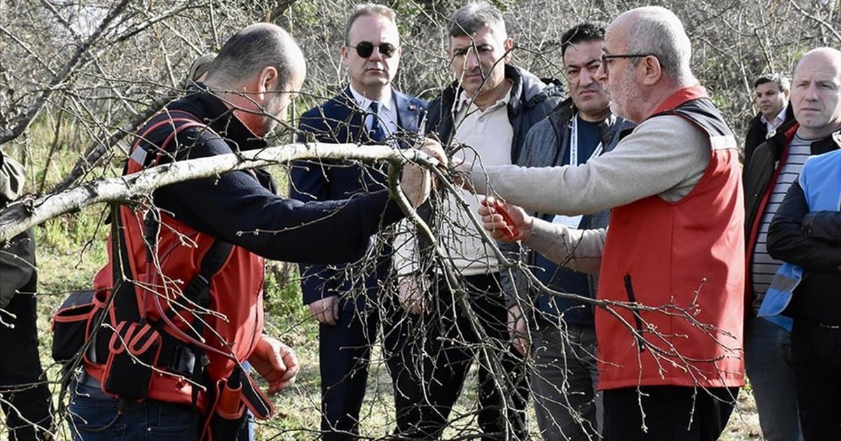 Yükümlüler fındık eğitimiyle verimi artırıyor