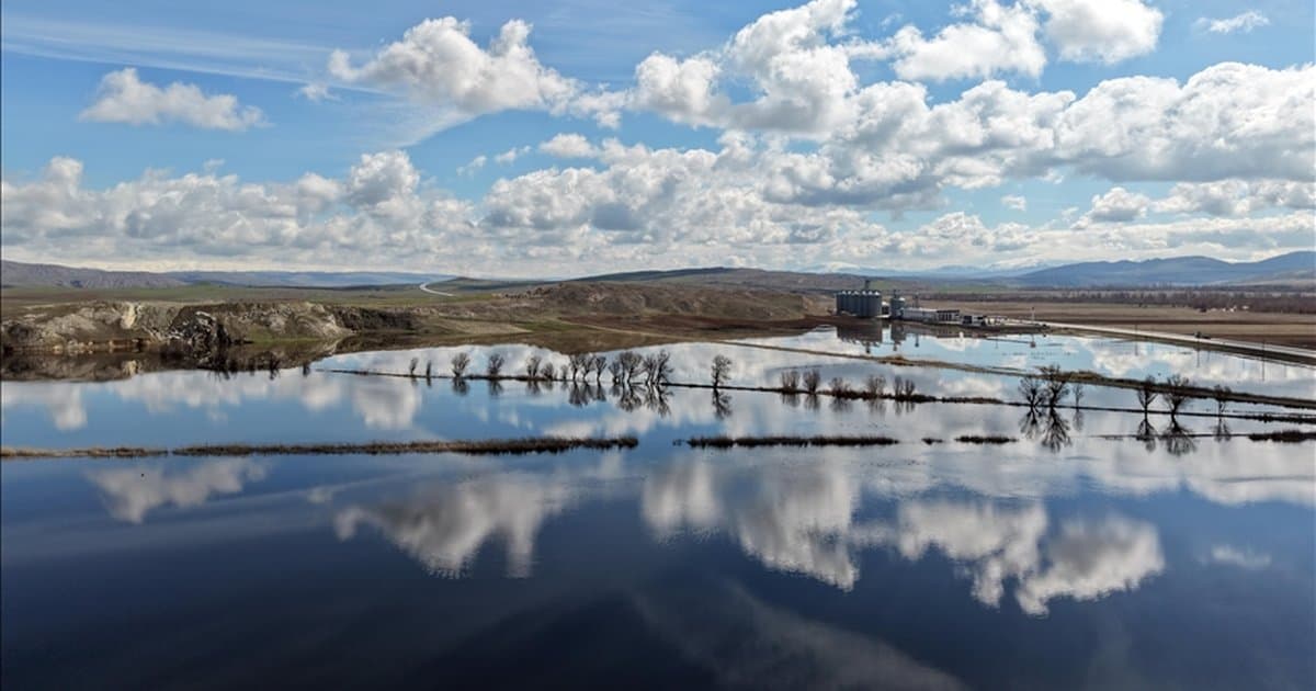Sivas'ta yağışlar tarım alanlarını etkiledi