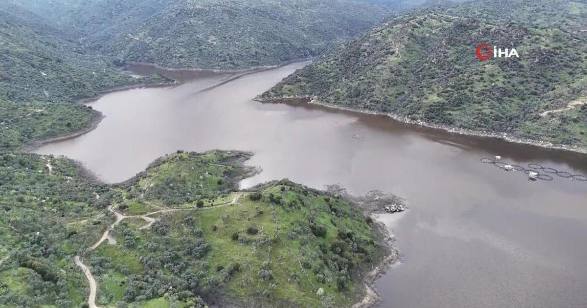 İstanbul'a yağmur bereketi: Barajlar %20 doldu