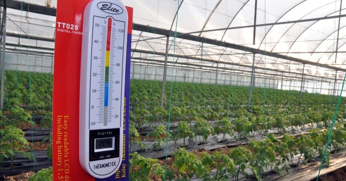 Zirai don uyarısı sonrası üreticiler tedbirlere odaklandı