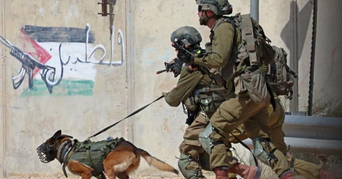 İsrail'de Hizbullah İHA'larına Karşı Köpek Timleri