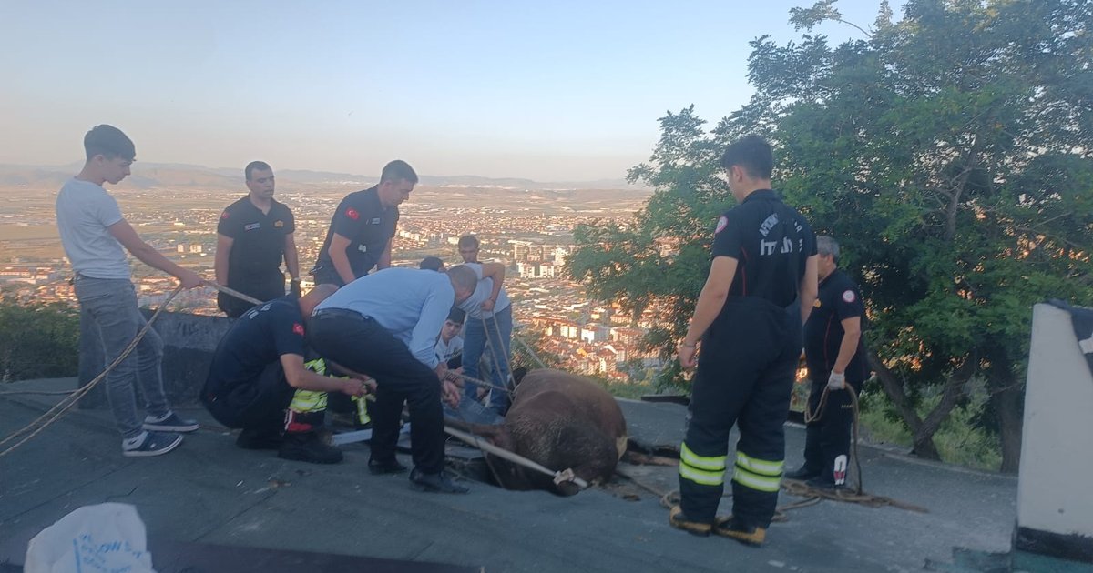 Afyonkarahisar'da İtfaiye Ekipleri İneği Kurtardı