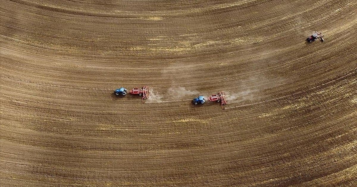 Türkiye genelindeki tarım sayımında sona yaklaşıldı