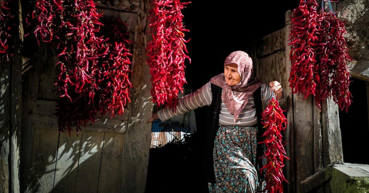 Bilecik Ramazan Bayramı namazı saati 2026 Diyanet